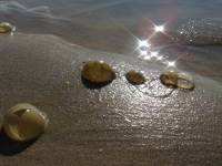 Christine LE GUYADEC - leguyadecc@gmail.com